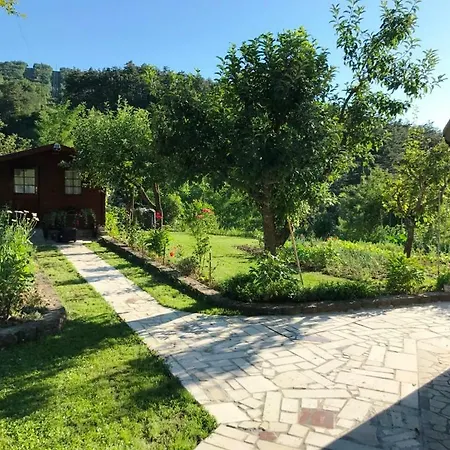 بيت ضيافة Guest House Most 3*